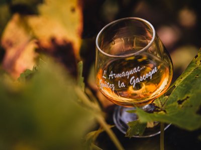 4. Armagnac et vignoble